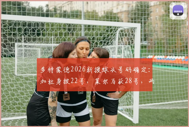 多特蒙德2026新援球衣号码确定:加杜身披22号,莱尔马获28号,两人将填补哪些位置?