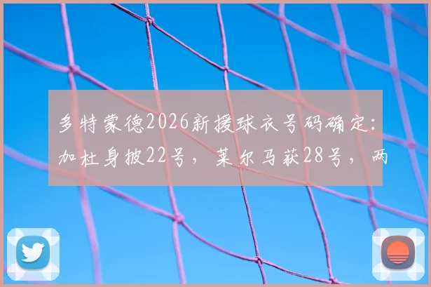 多特蒙德2026新援球衣号码确定：加杜身披22号，莱尔马获28号，两人将填补哪些位置？